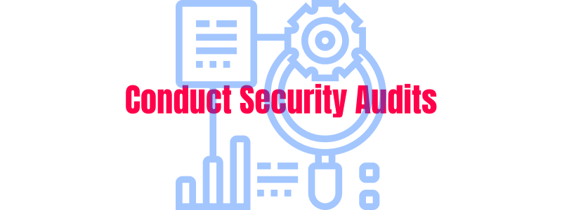 Conduct Regular Security Audits Image